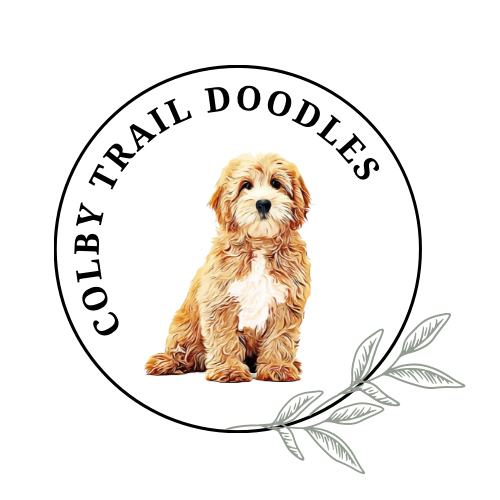 Colby Trail Doodles